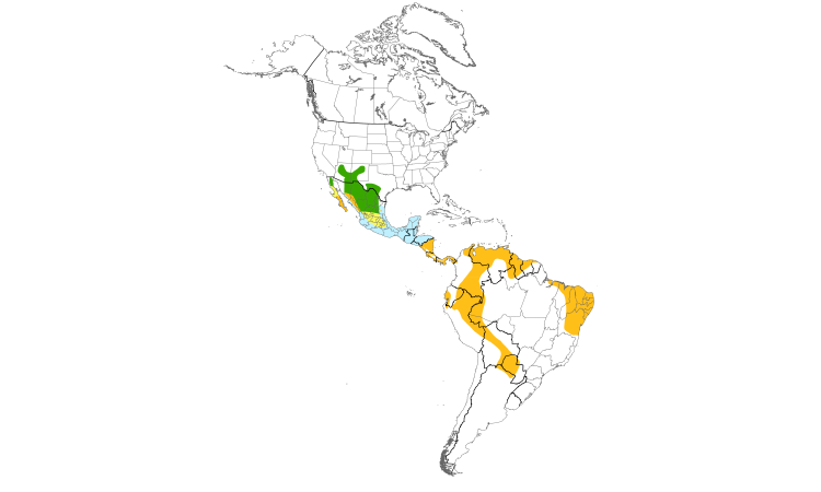Range Map (Americas): Zone-tailed Hawk