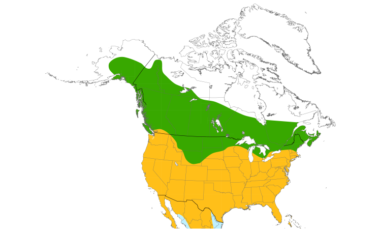 Range Map (North): Red-tailed Hawk