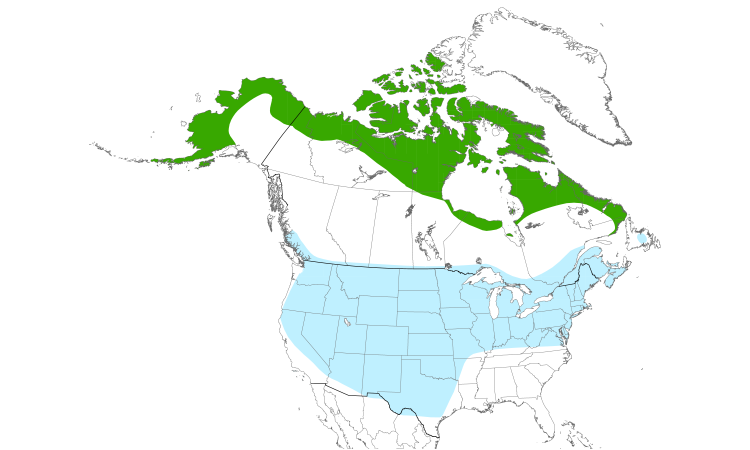 Range Map (North): Rough-legged Hawk