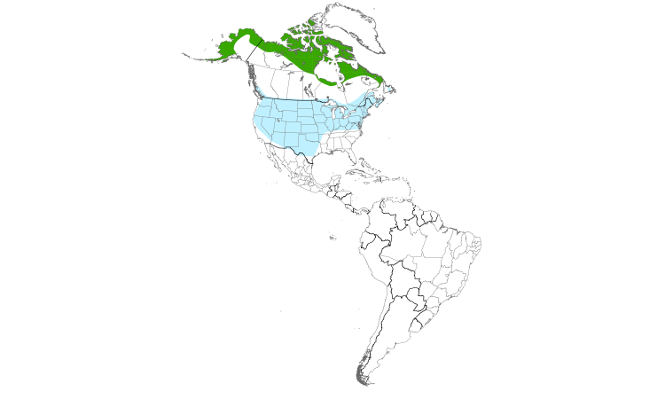 Range Map (Americas): Rough-legged Hawk