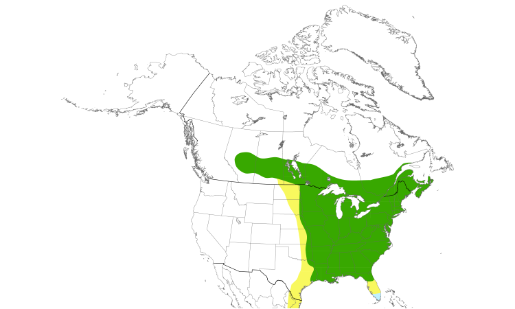 Range Map (North): Broad-winged Hawk