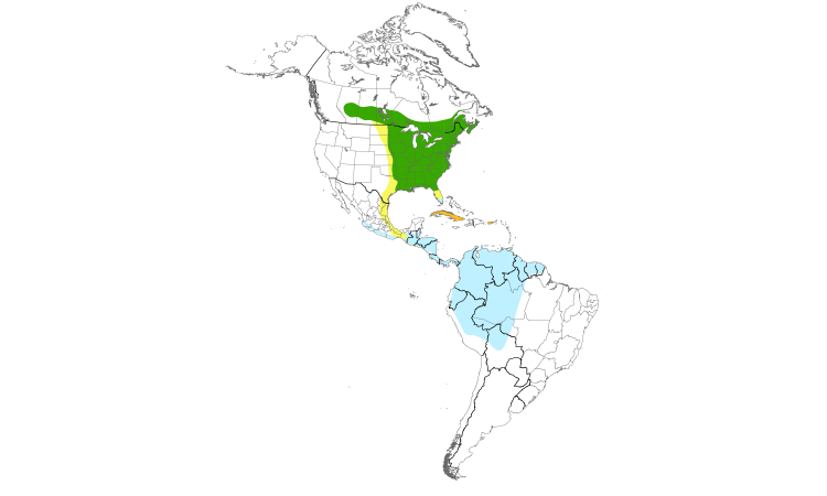 Range Map (Americas): Broad-winged Hawk