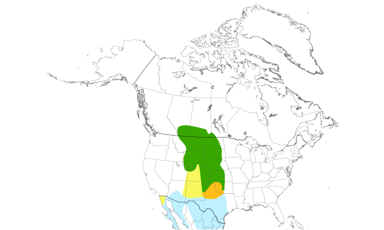 Range Map (North): Lark Bunting
