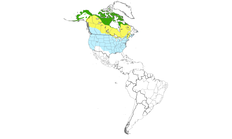 Range Map (Americas): Lapland Longspur
