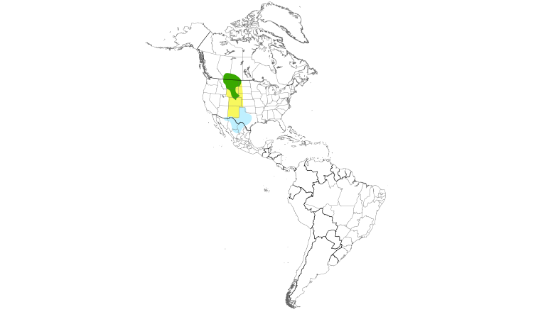 Range Map (Americas): McCown's Longspur