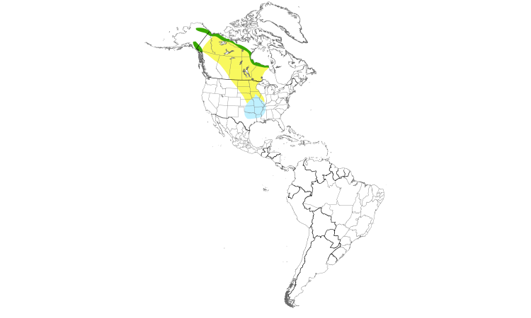 Range Map (Americas): Smith's Longspur