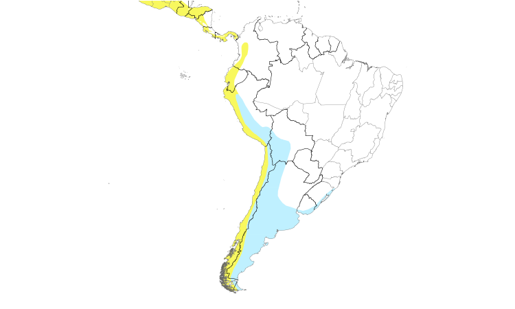 Range Map (South): Baird's Sandpiper