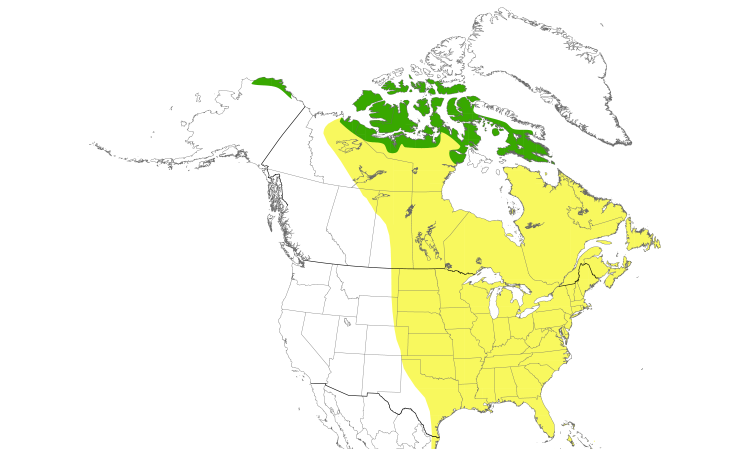 Range Map (North): White-rumped Sandpiper