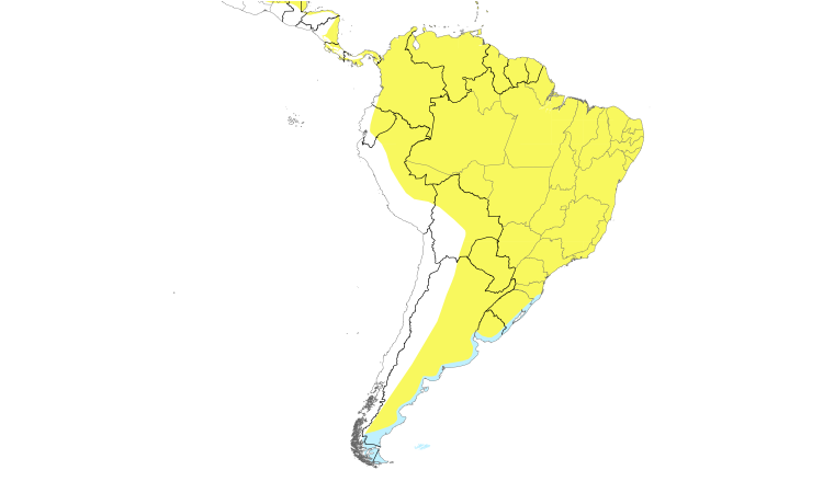 Range Map (South): White-rumped Sandpiper