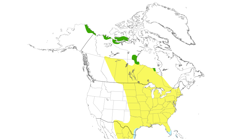 Range Map (North): Stilt Sandpiper