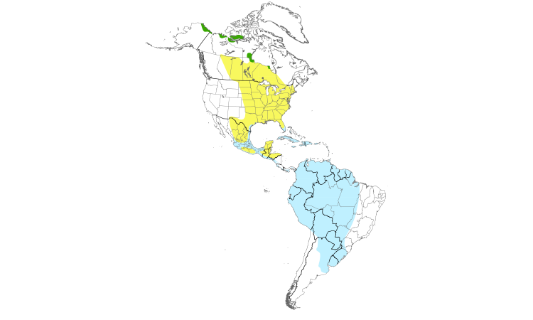 Range Map (Americas): Stilt Sandpiper