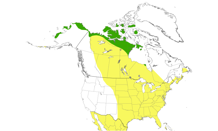 Range Map (North): Pectoral Sandpiper