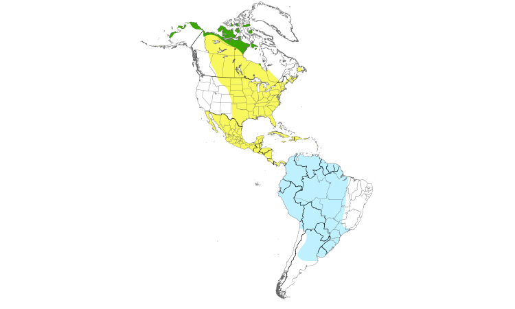 Range Map (Americas): Pectoral Sandpiper