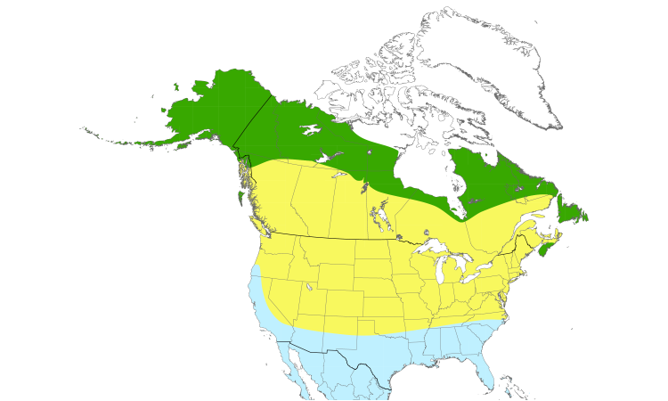 Range Map (North): Least Sandpiper