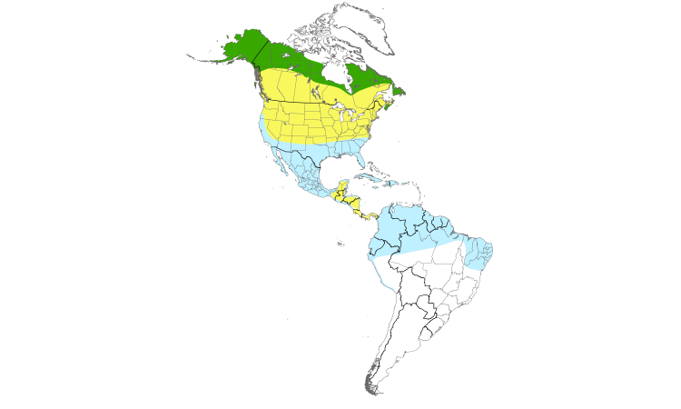 Range Map (Americas): Least Sandpiper