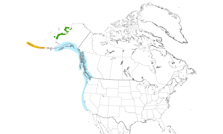Range Map (North): Rock Sandpiper