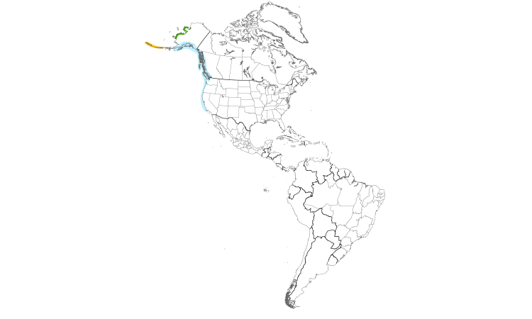 Range Map (Americas): Rock Sandpiper