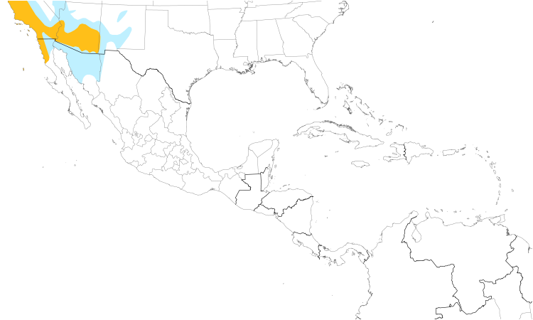 Range Map (Central): Anna's Hummingbird