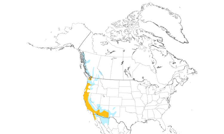 Range Map (North): Anna's Hummingbird