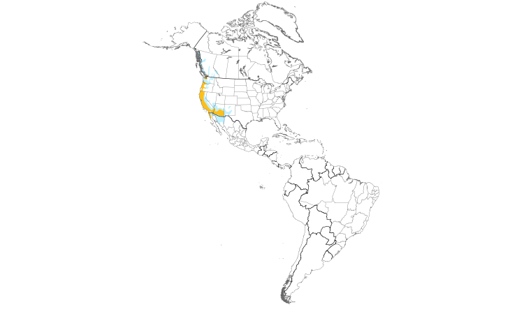 Range Map (Americas): Anna's Hummingbird