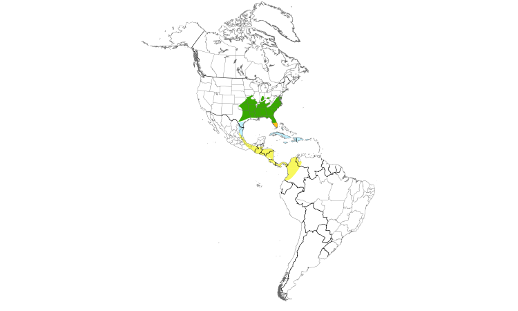 Range Map (Americas): Chuck-will's-widow
