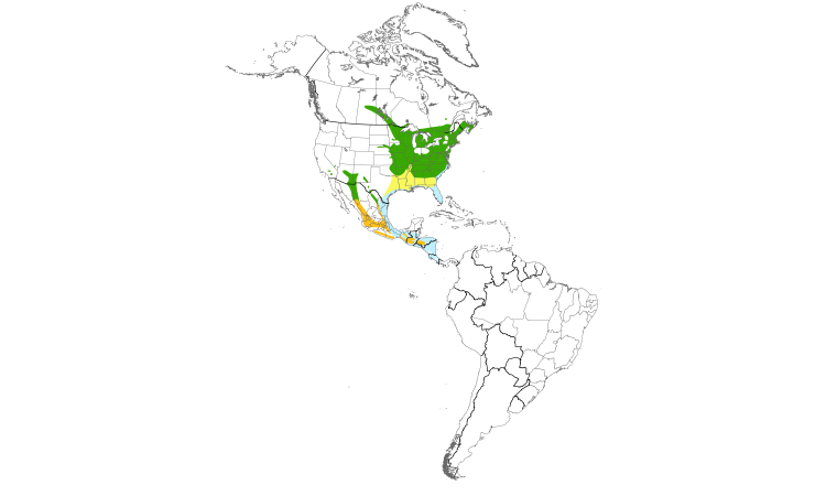 Range Map (Americas): Eastern Whip-poor-will