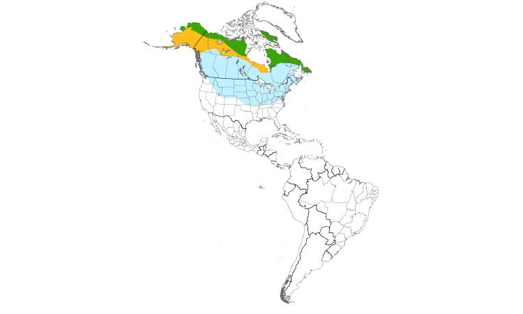 Range Map (Americas): Common Redpoll