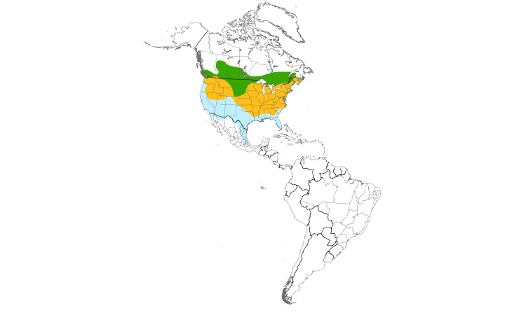 Range Map (Americas): American Goldfinch