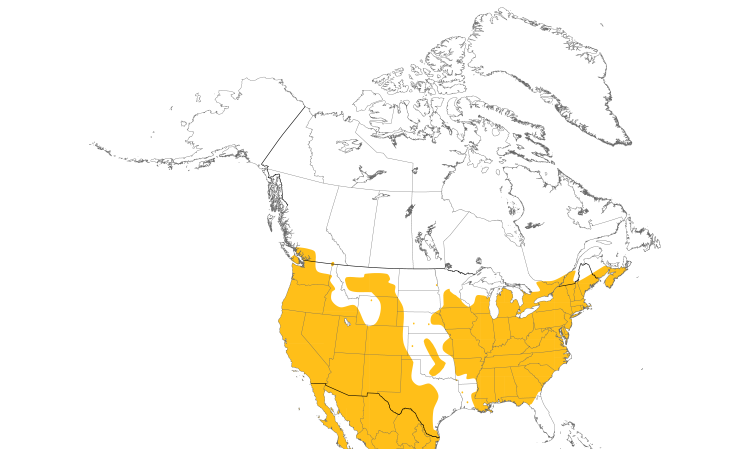 Range Map (North): House Finch