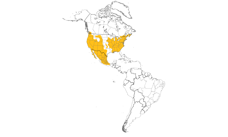 Range Map (Americas): House Finch