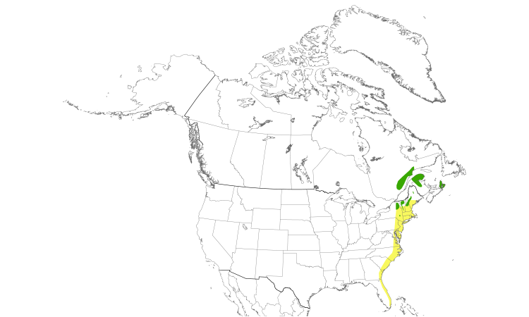 Range Map (North): Bicknell's Thrush