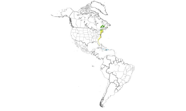 Range Map (Americas): Bicknell's Thrush