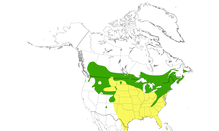 Range Map (North): Veery