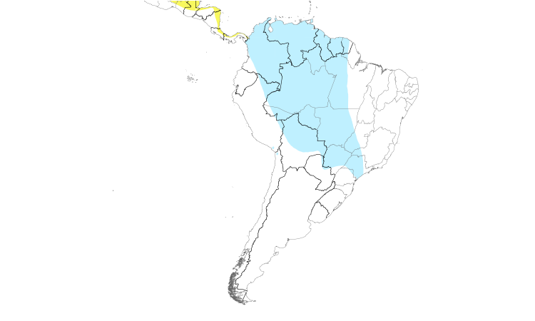 Range Map (South): Veery