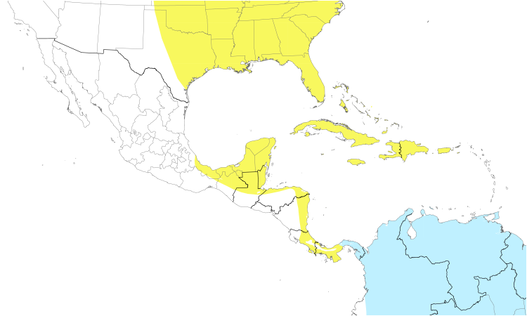 Range Map (Central): Gray-cheeked Thrush