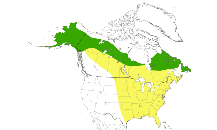 Range Map (North): Gray-cheeked Thrush
