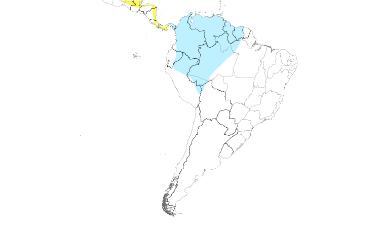 Range Map (South): Gray-cheeked Thrush