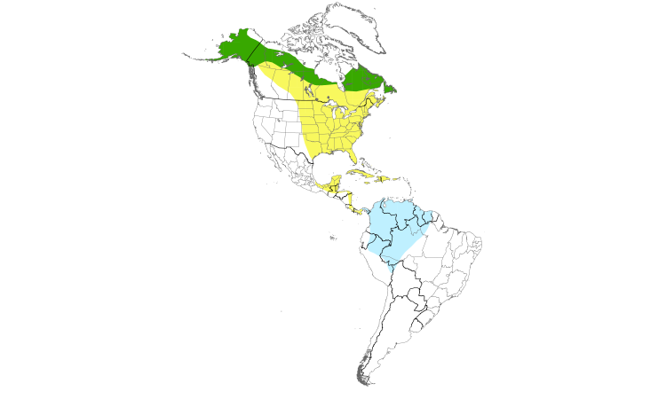 Range Map (Americas): Gray-cheeked Thrush