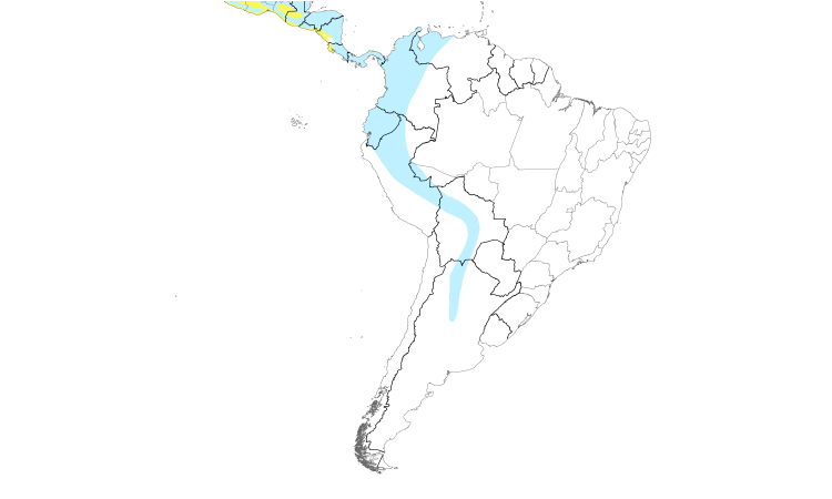 Range Map (South): Swainson's Thrush