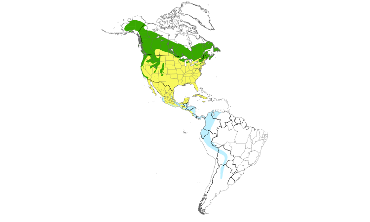 Range Map (Americas): Swainson's Thrush