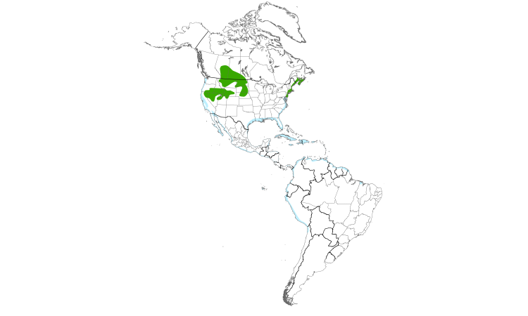 Range Map (Americas): Willet