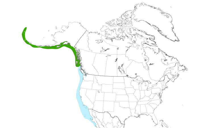 Range Map (North): Rhinoceros Auklet
