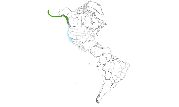 Range Map (Americas): Rhinoceros Auklet