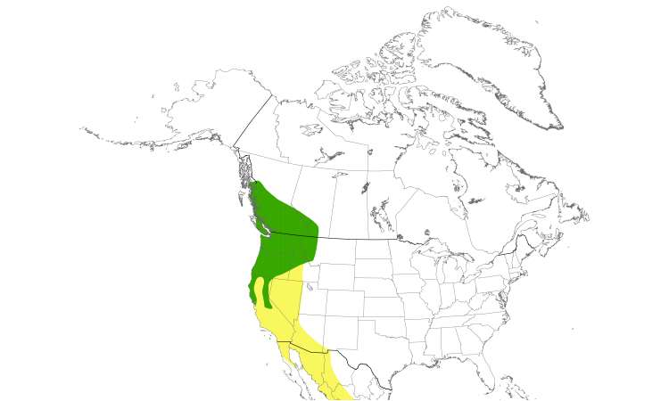 Range Map (North): Vaux's Swift