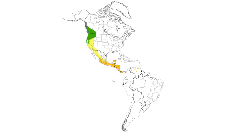 Range Map (Americas): Vaux's Swift