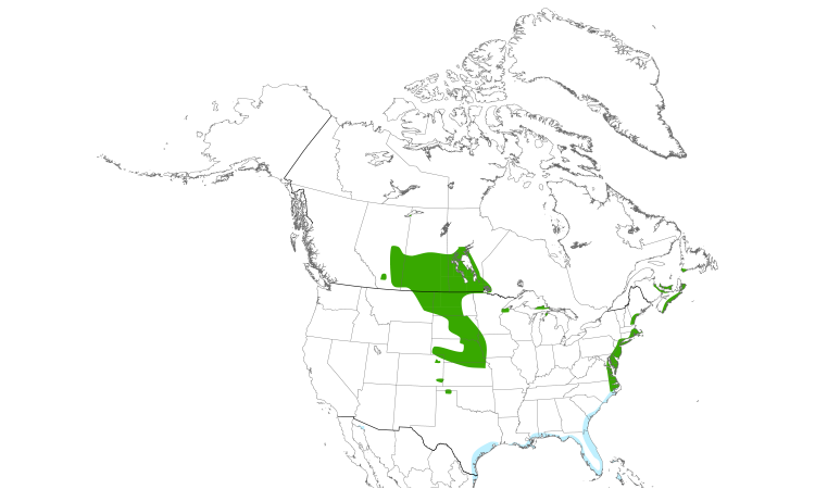 Range Map (North): Piping Plover