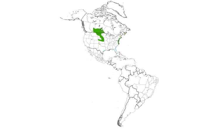Range Map (Americas): Piping Plover