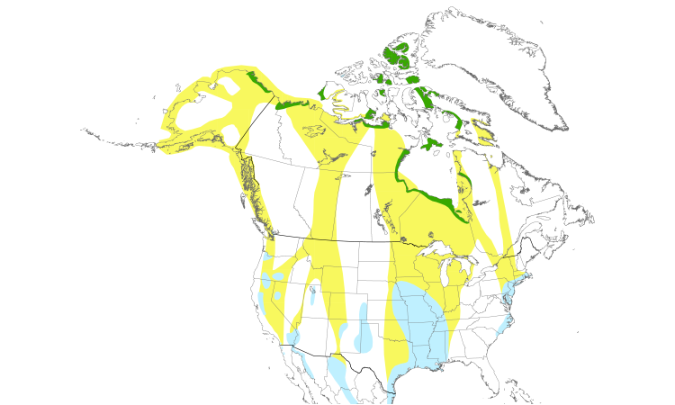 Range Map (North): Snow Goose
