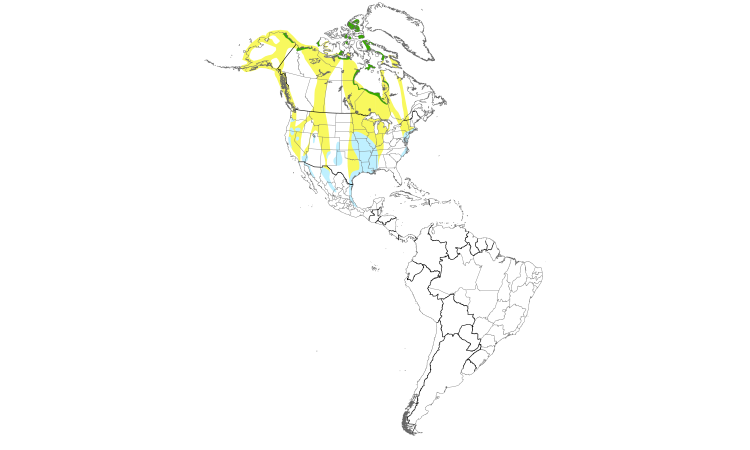 Range Map (Americas): Snow Goose