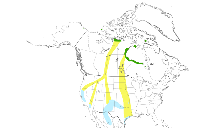 Range Map (North): Ross's Goose